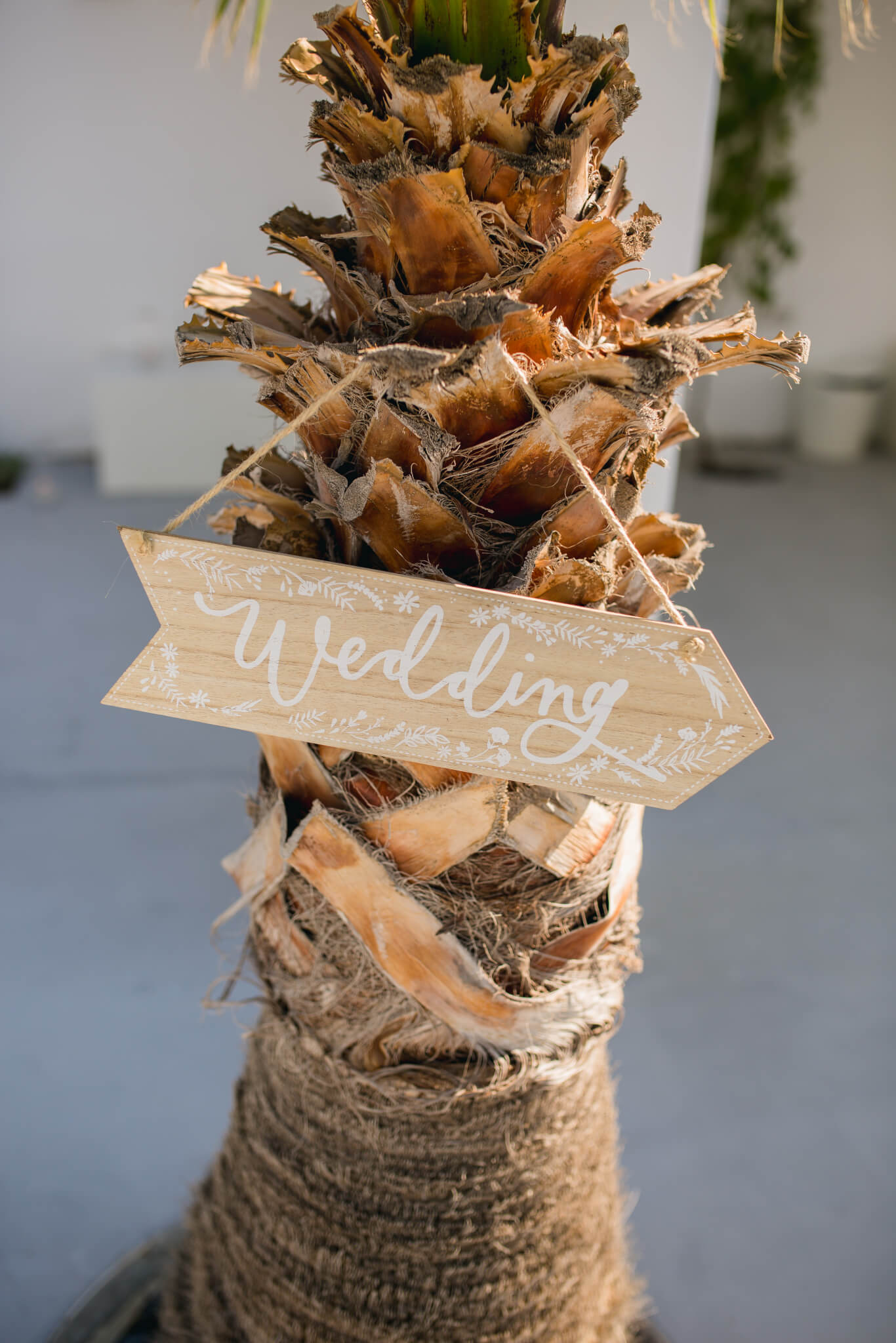 Wedtime_Stories_-_Daniel__Emily_-_Details-3